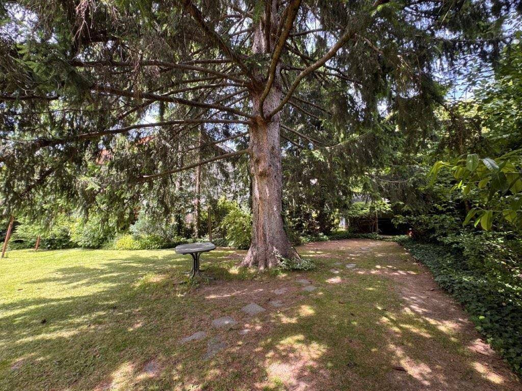 Zugang zur Gartenlaube