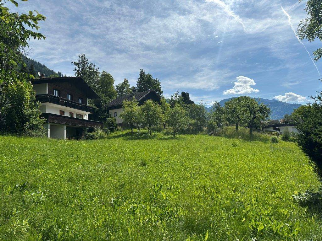 Sonnige grüne Wiese mit Bäumen und traditionellen Häusern im Hintergrund, umgeben von Natur.