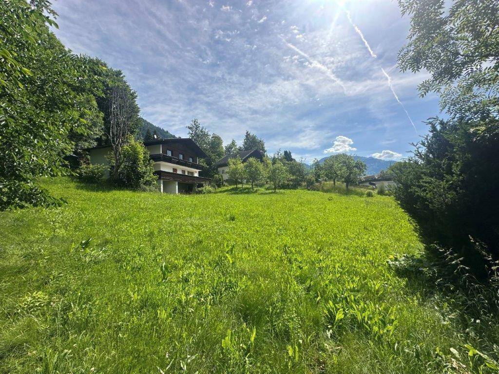 Sonnige, weitläufige Grünfläche mit einem traditionellen Haus im Hintergrund, umgeben von Bäumen.