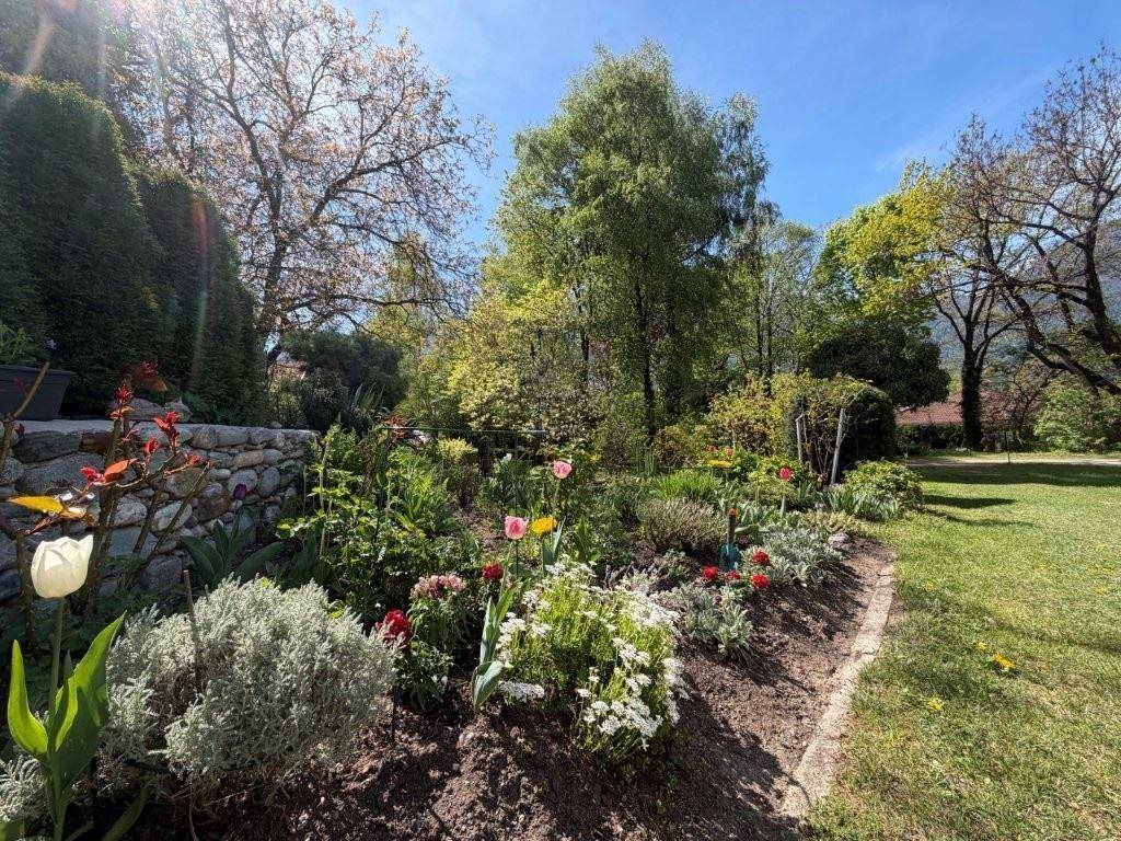 Farbenfrohes Blumenbeet im Garten mit verschiedenen Pflanzen und einer Steinmauer im Hintergrund.