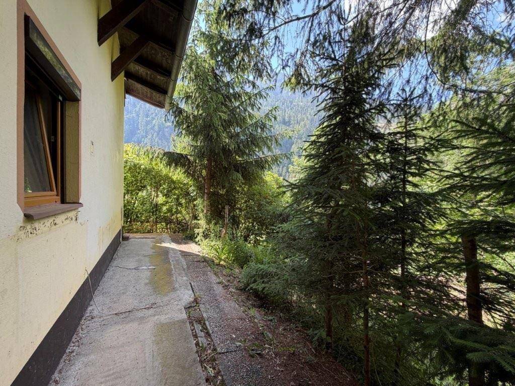 Schmaler Betonweg entlang der Hauswand, umgeben von Bäumen und dichter Vegetation.