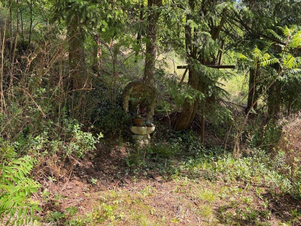 Naturbelassener Gartenbereich mit üppiger Vegetation und einer kleinen religiösen Statue.