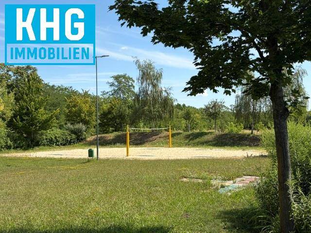 Sportbereich im Freien mit einem Sand-Volleyballfeld, umgeben von grünen Wiesen und Bäumen.