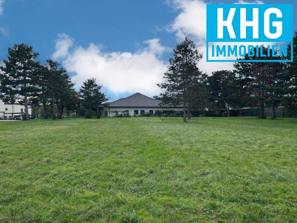 Offenes Feld mit grüner Wiese, umgeben von Bäumen und einem Gebäude im Hintergrund.
