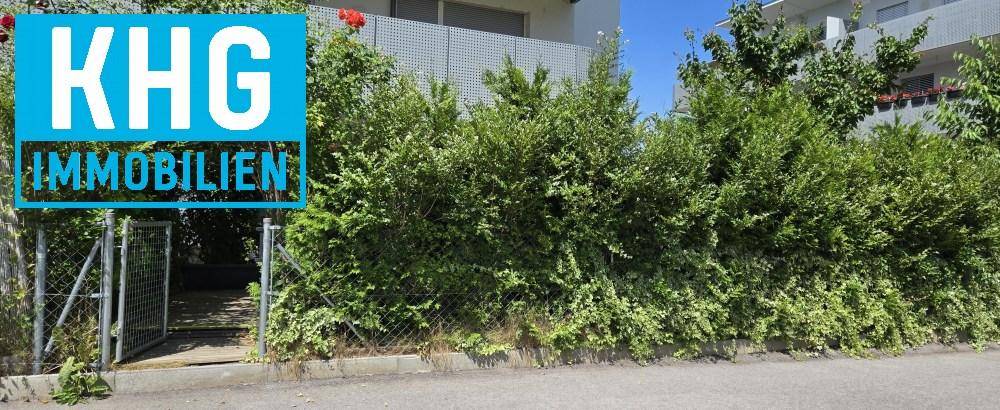 Grüne Hecke und Zaun mit offenem Tor, die das Grundstück begrenzen.