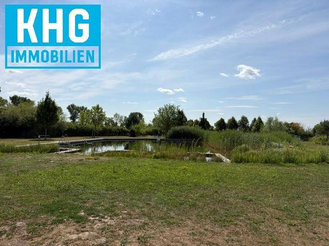 Natürlicher Teich oder kleiner See, umgeben von Schilf und einer weitläufigen Grünfläche.