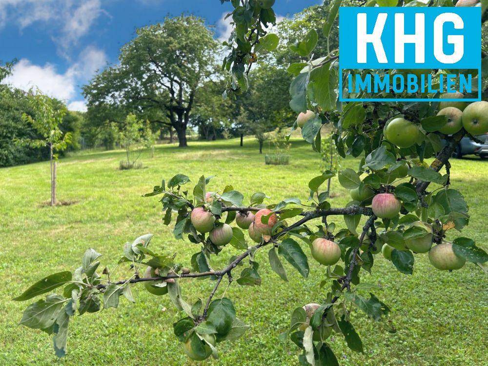 Obstgarten