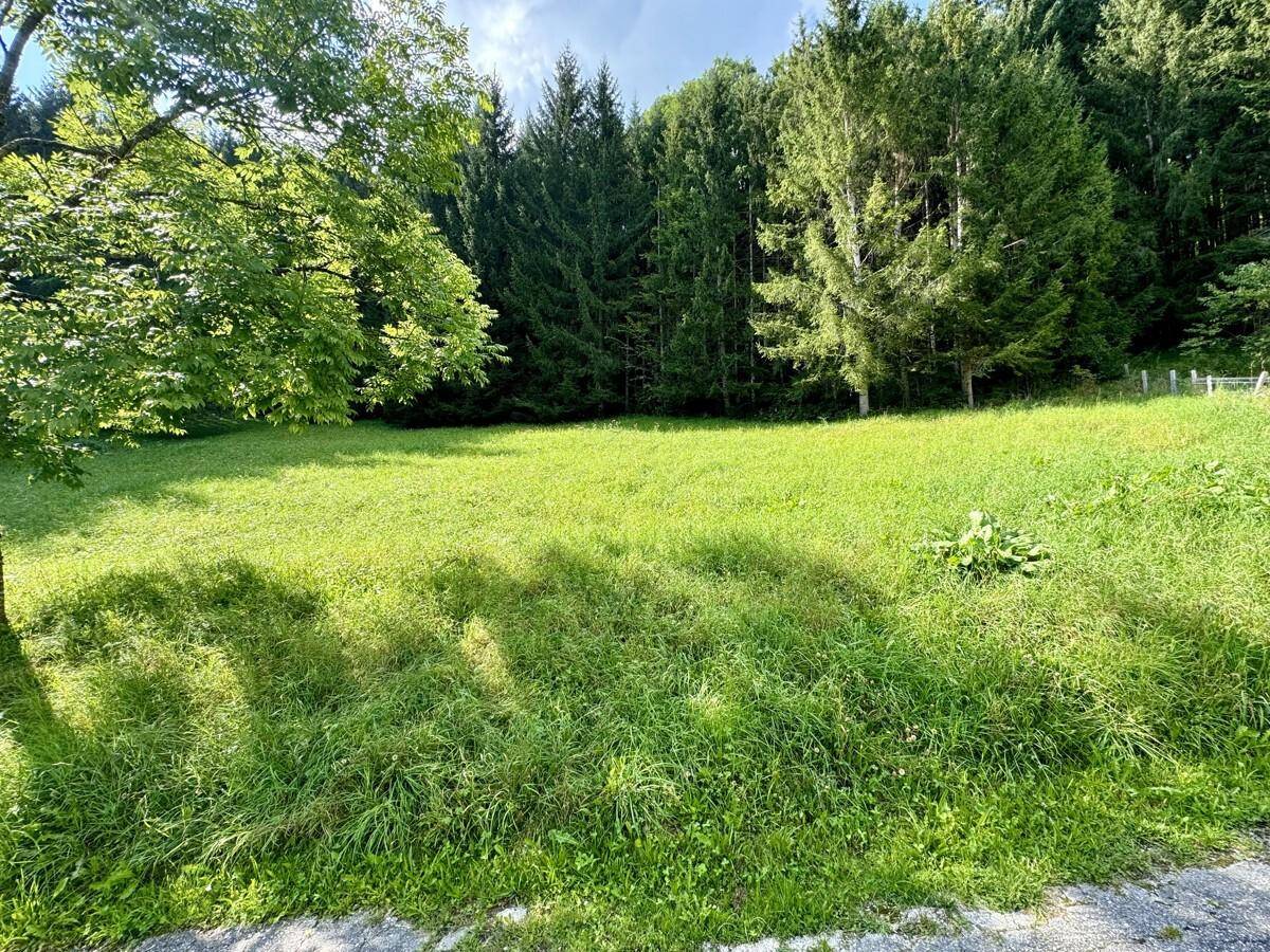 Weitläufige grüne Fläche mit Bäumen und einem Waldrand unter blauem Himmel.