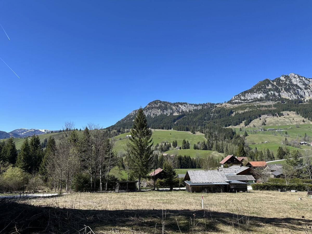 Panoramablick auf sanfte grüne Hügel mit vereinzelten Häusern und bewaldeten Bergen im Hintergrund.