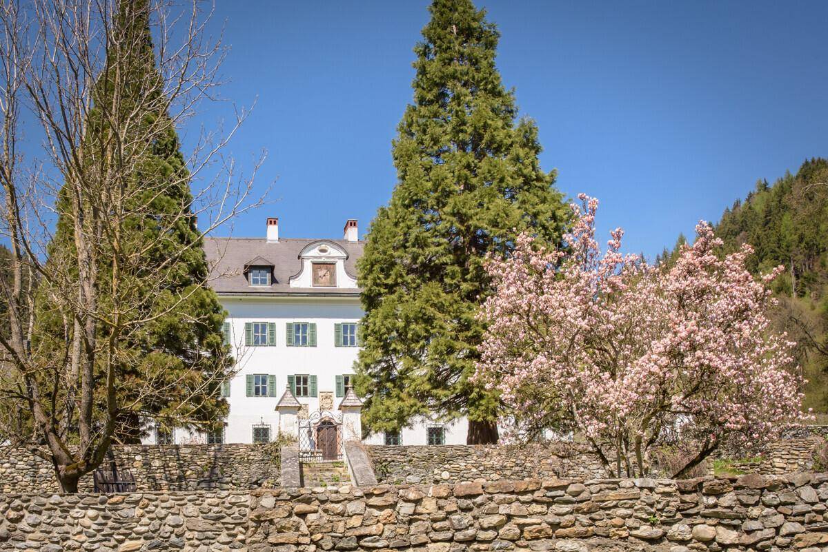 Altes Herrenhaus mit hohen Bäumen und Steinmauer in ländlicher Umgebung.