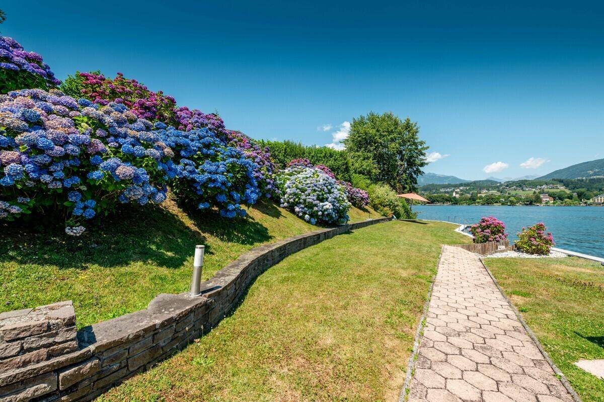 Gepflegter Gartenbereich mit bunten Hortensien und direktem Zugang zum See.