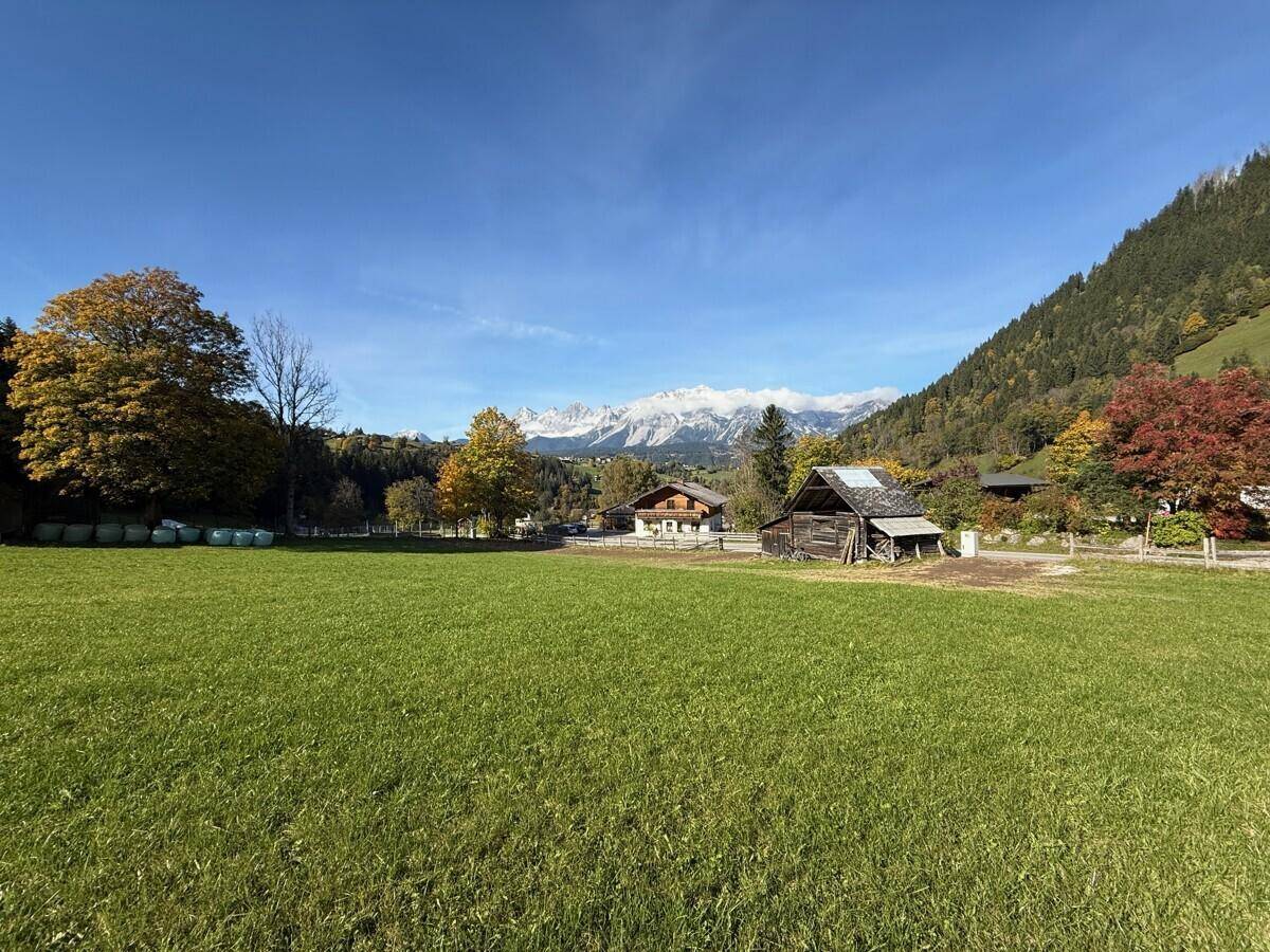 Herbstliche Landschaft mit leuchtend grünen Wiesen, bunten Bäumen und schneebedeckten Bergen unter klarem Himmel.
