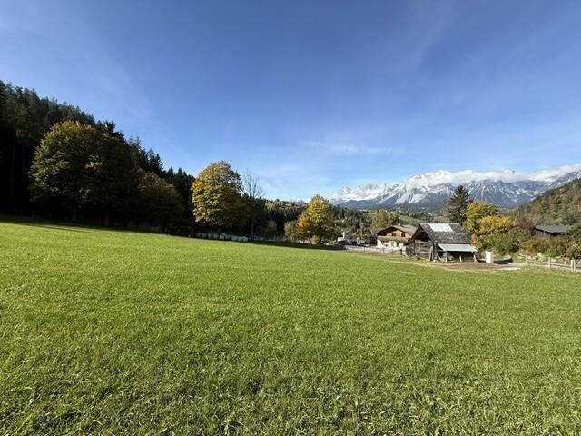 Weitläufige grüne Wiesen mit herbstlich gefärbten Bäumen und einem malerischen Bergpanorama im Hintergrund.