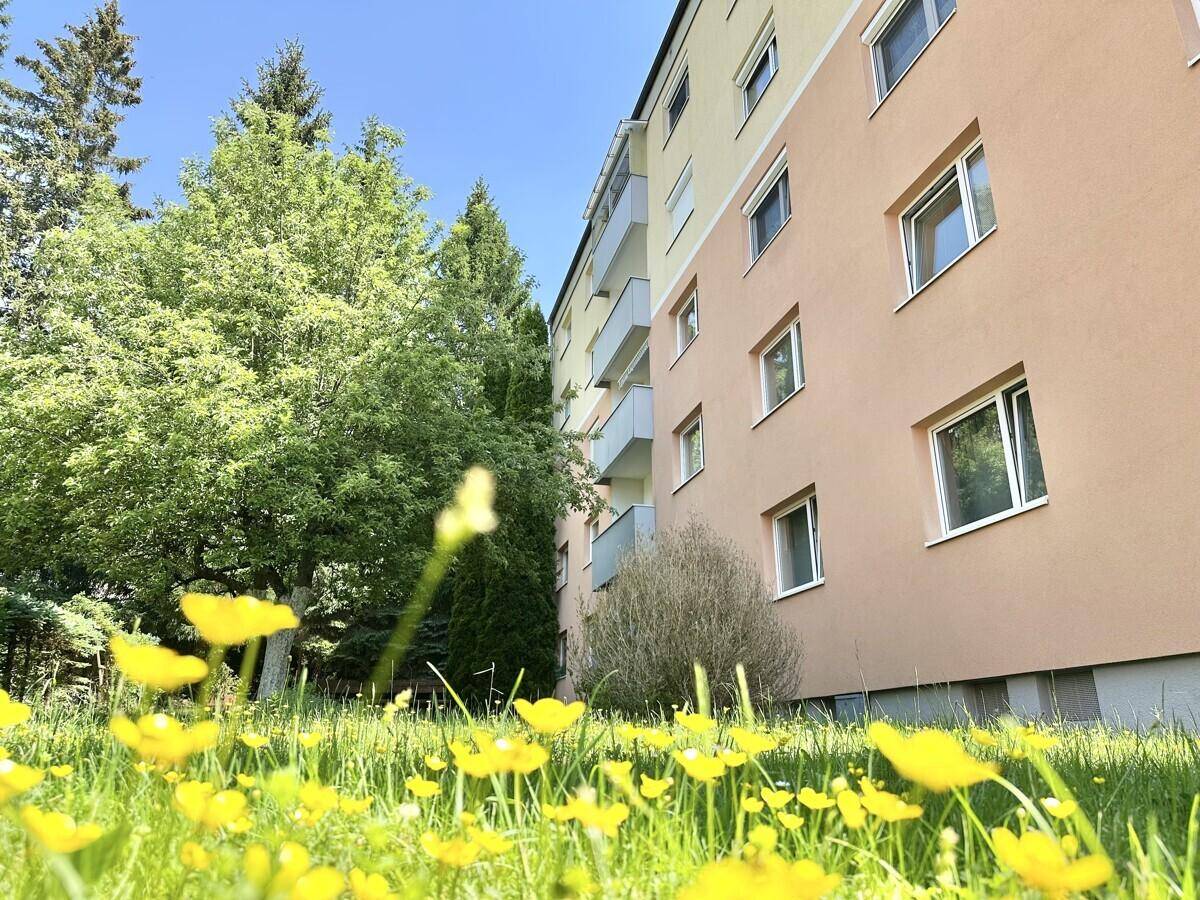 Außenansicht des Gebäudes mit grüner Wiese und hohen Bäumen im Vordergrund.