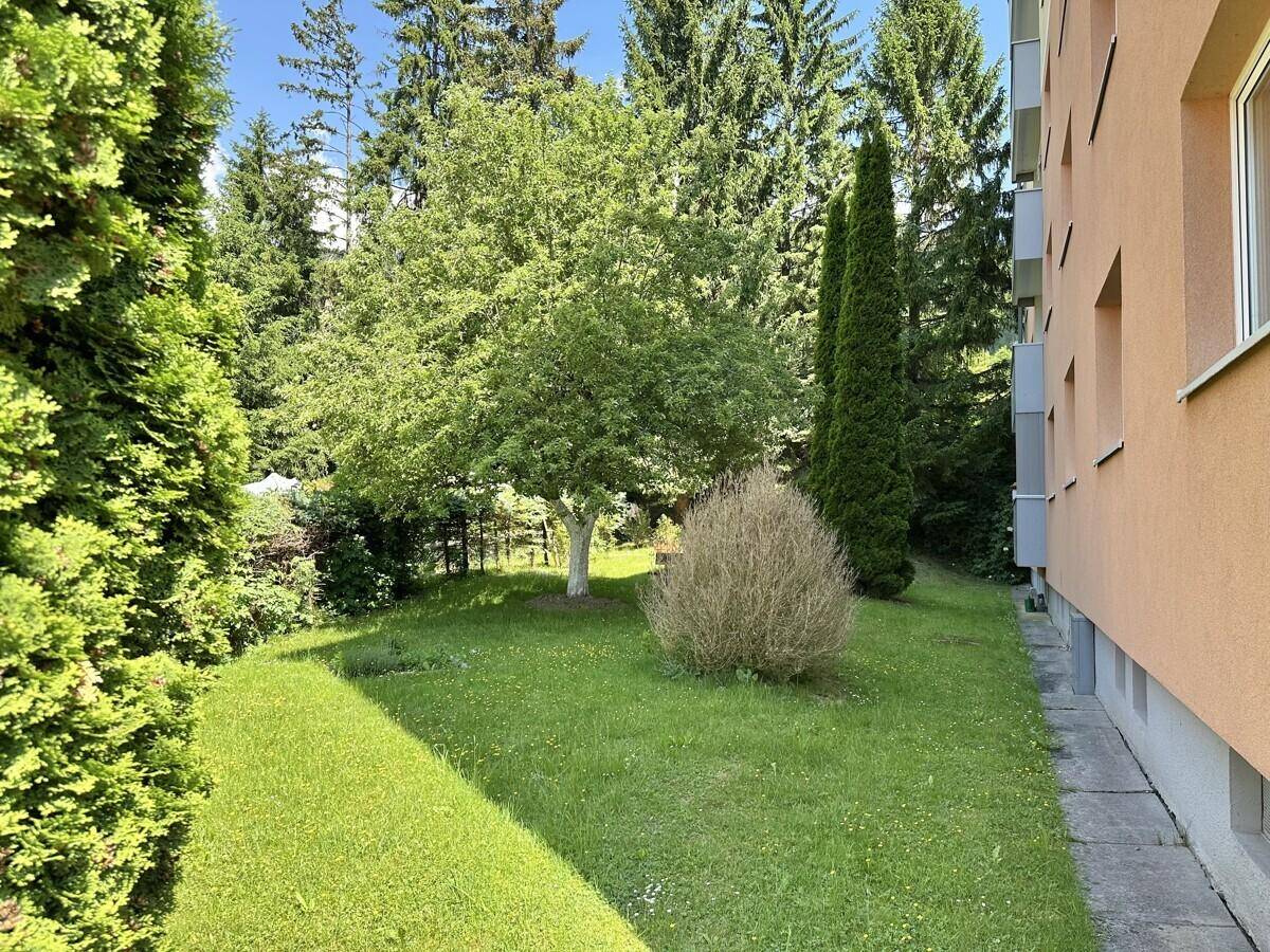 Gepflegter Gartenbereich neben dem Gebäude mit Rasenfläche und Bäumen.