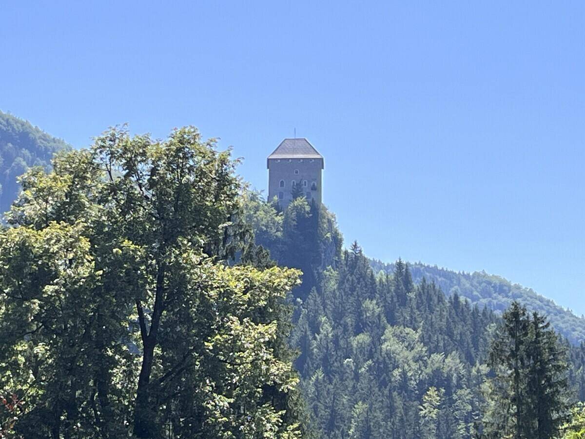 IMG_8776