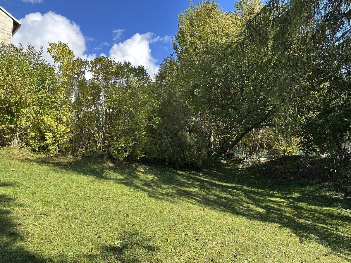 Natürliche Gartenlandschaft mit Rasen und Bäumen, umgeben von üppigem Grün.