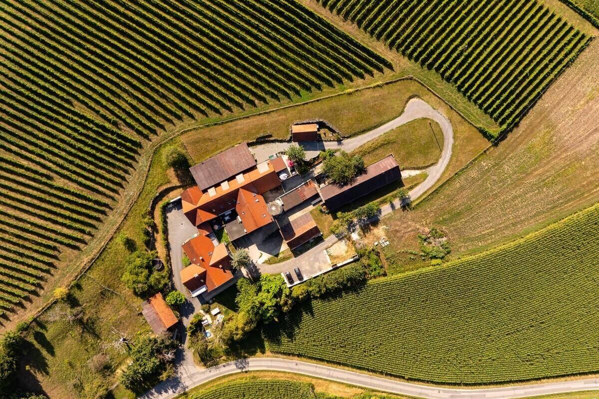 Detailreiche Luftaufnahme des Anwesens mit seinen Gebäuden, eingebettet in die Struktur der Weinberge.