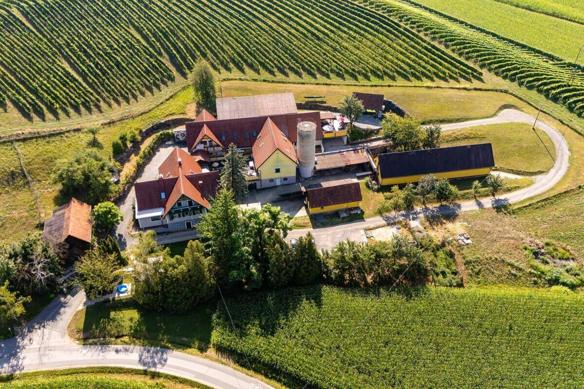 Luftaufnahme eines weitläufigen Anwesens mit Gebäuden und Wegen, umgeben von Weinreben, grüne Umgebung.