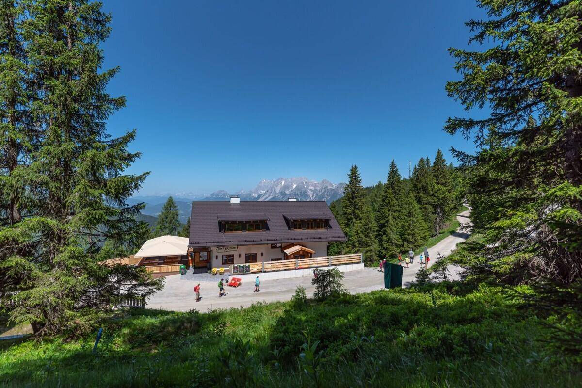 Alpenhaus eingebettet in eine weite grüne Berglandschaft mit Kiefern und Fernblick.