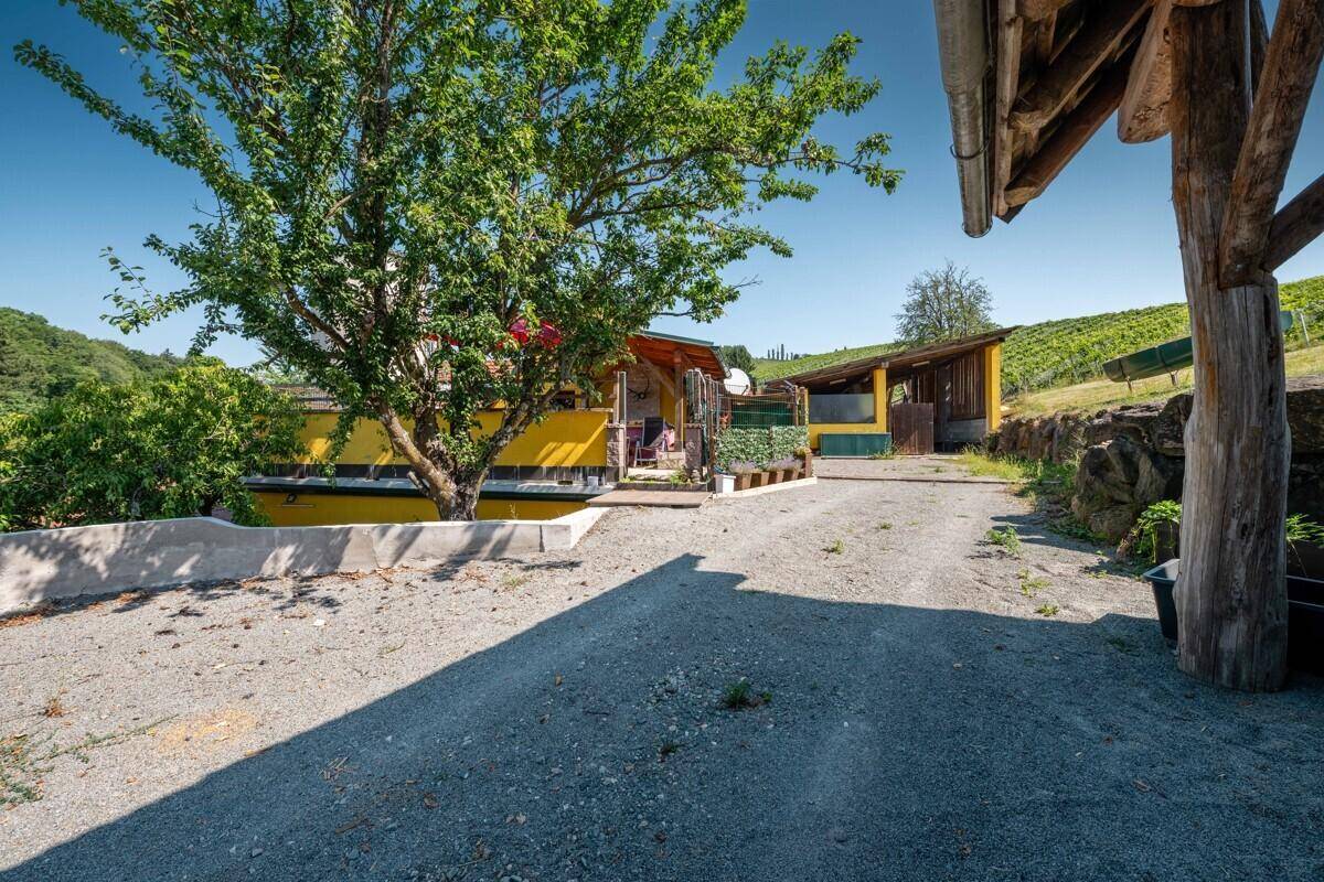 Zufahrt zu einem gelben Gebäude, umgeben von üppigem Grün und Weinbergen.