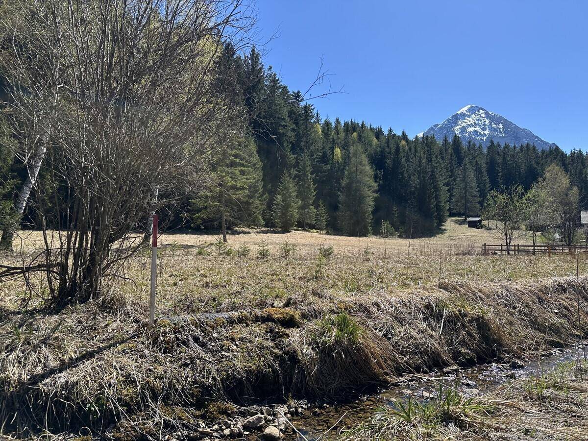 Kleiner Bachlauf im Vordergrund mit weitem Feld, Wald und schneebedecktem Berg im Hintergrund.