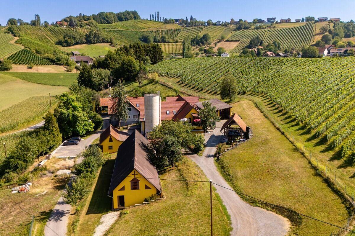 Panoramablick auf das weitläufige Anwesen mit mehreren Gebäuden, umgeben von grünen Weinbergen und Natur.