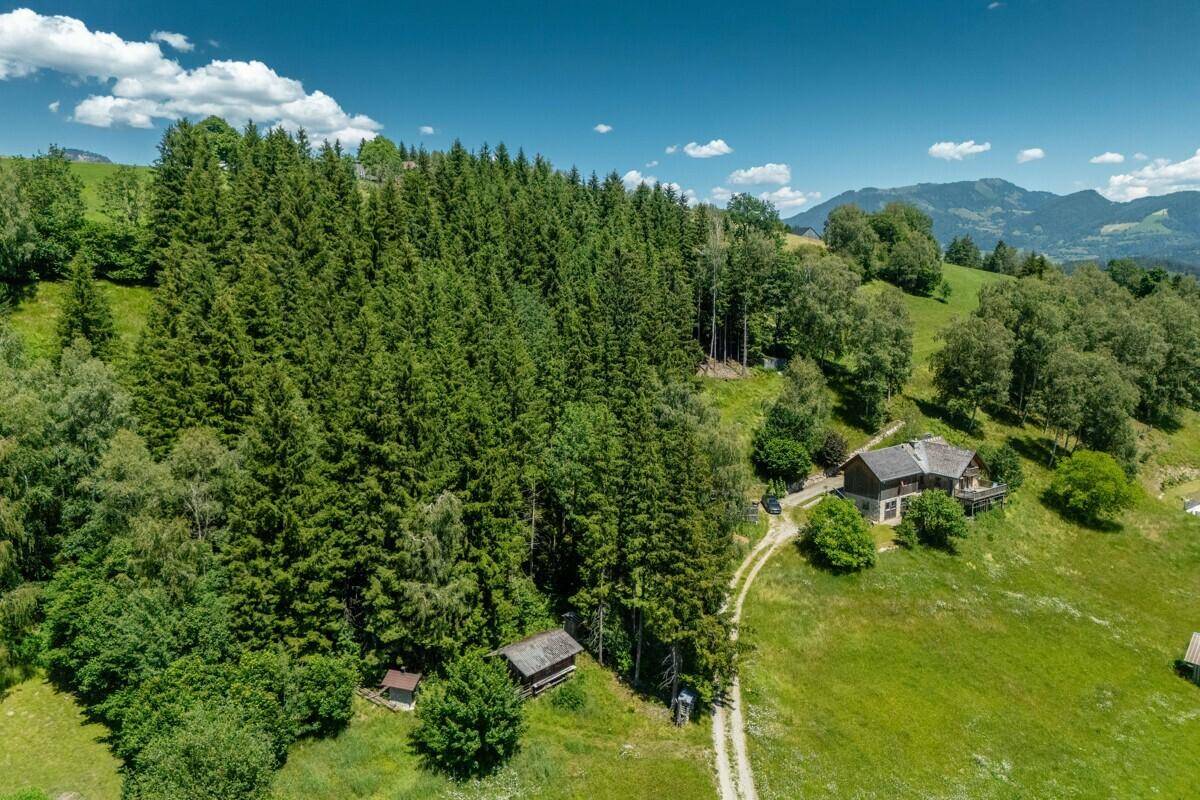 Weitläufige Luftaufnahme einer unberührten Naturlandschaft mit dichten Wäldern, grünen Wiesen und einem kleinen Haus.