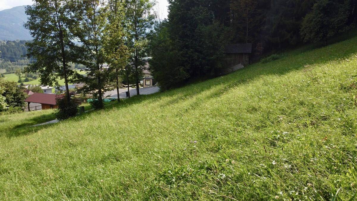Grüne Hanglage mit Bäumen und Blick auf vereinzelte Häuser in der Ferne.