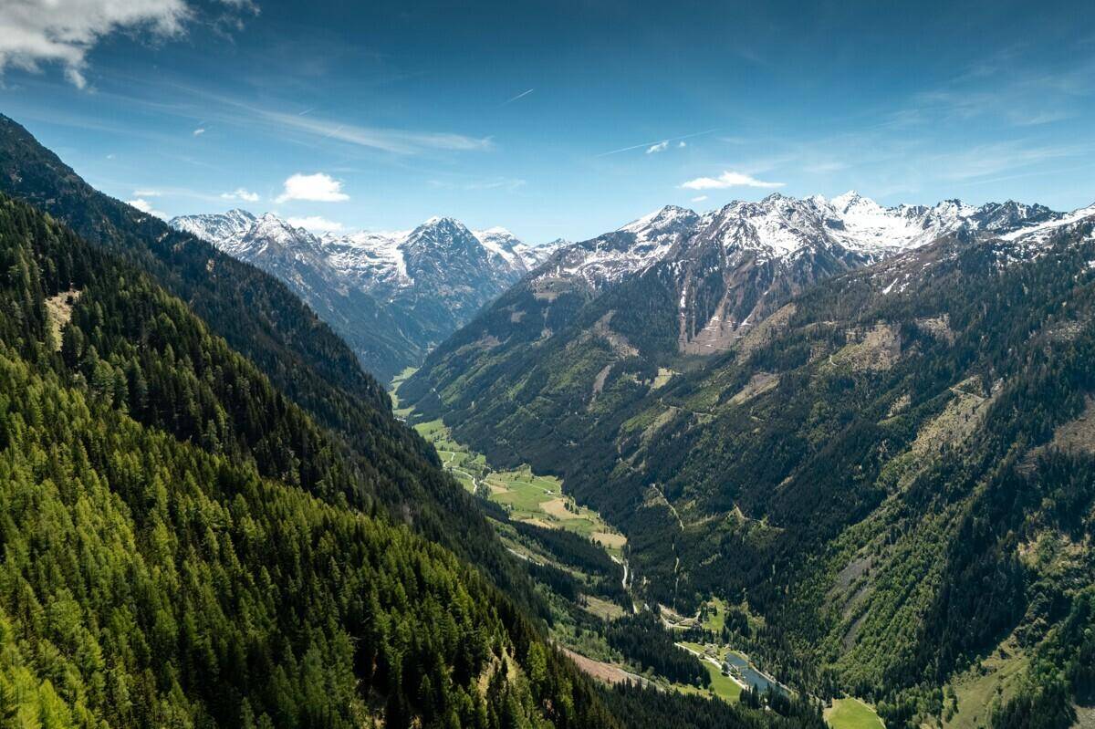 Weitläufiges alpines Tal mit grünen Wäldern und majestätischen schneebedeckten Berggipfeln.
