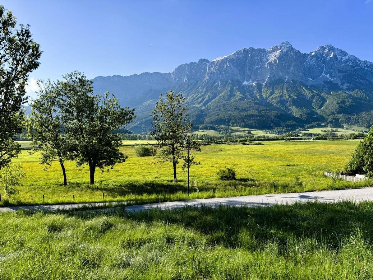 Weitläufige grüne Felder mit Bäumen und einer Straße, umgeben von einer beeindruckenden Bergkulisse.