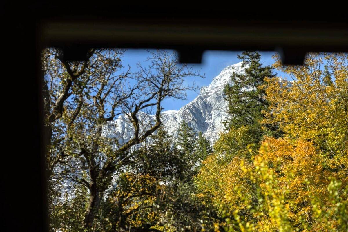 Malerischer Blick auf schneebedeckte Berge und herbstliche Bäume durch ein Fenster.