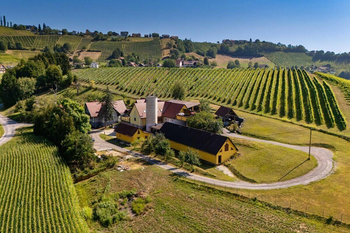 Weitläufiges Anwesen mit mehreren Gebäuden, eingebettet in die malerische Landschaft der Weinberge.