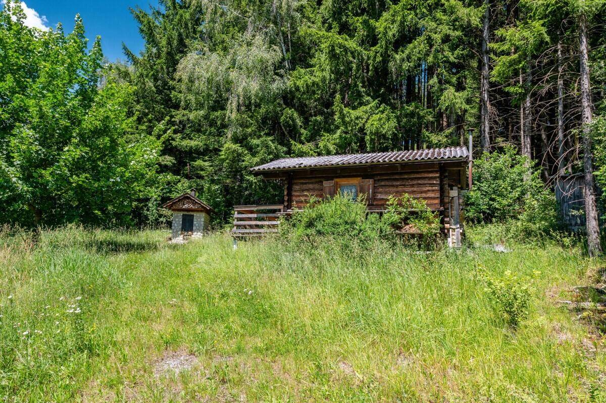 Rustikale Holzhütte in einer grünen Wiese, umgeben von hohen Bäumen.