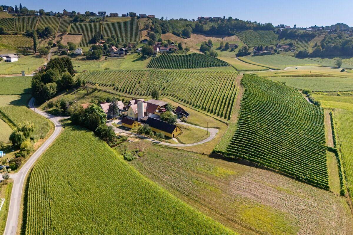 Weitläufige Luftaufnahme des Anwesens, eingebettet in eine malerische Landschaft mit Weinbergen und Feldern.