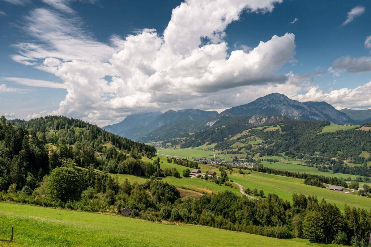 Weitläufige grüne Hügellandschaft mit Wäldern und Bergen unter einem bewölkten Himmel.
