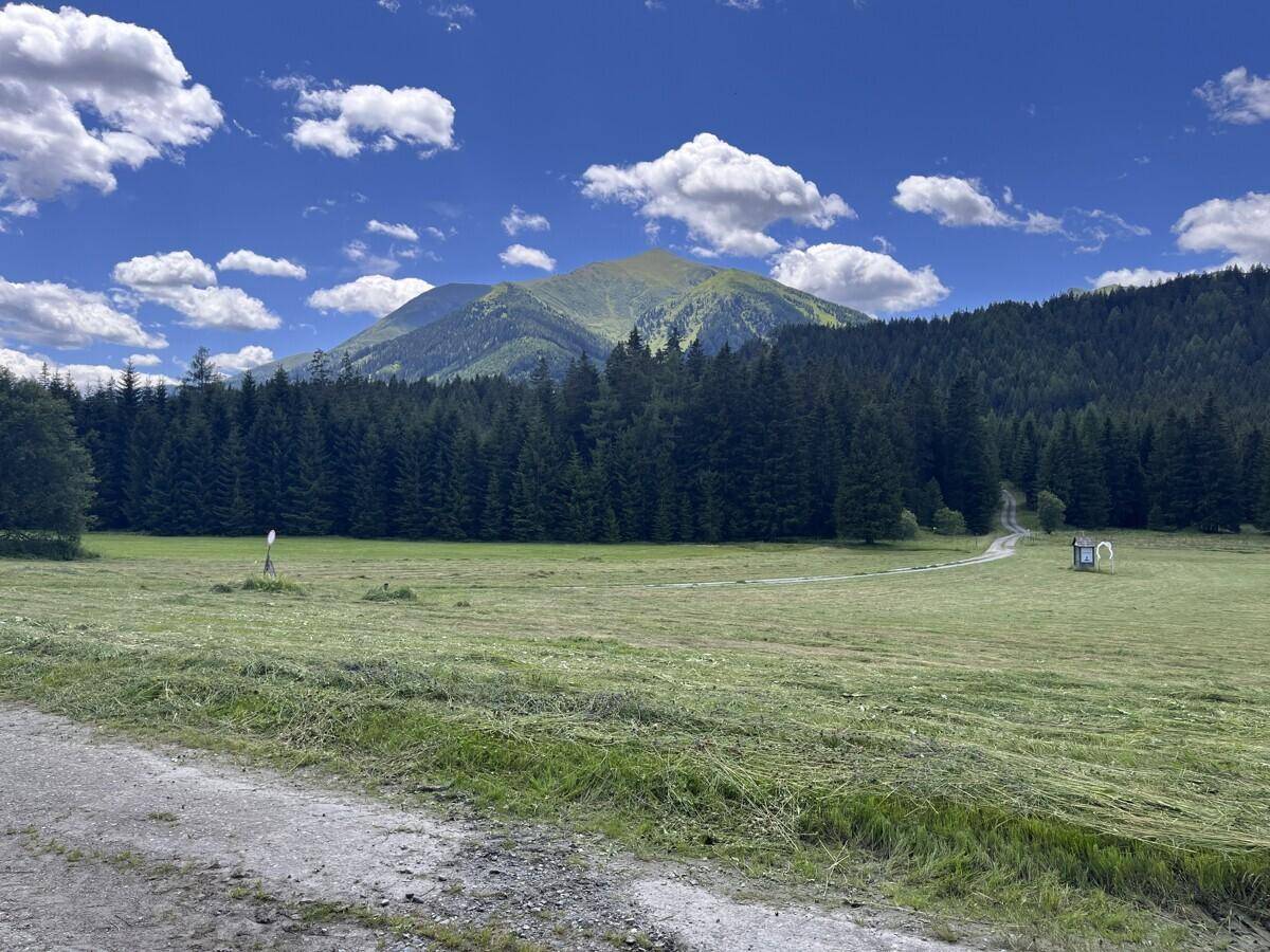 Weitläufige grüne Landschaft mit bewaldeten Bergen unter blauem Himmel und weißen Wolken.