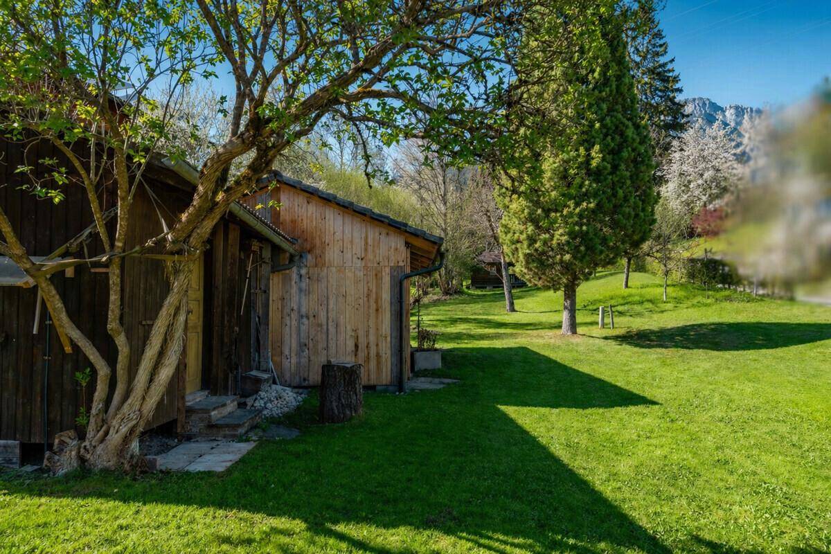 Idyllischer Gartenbereich mit alten Bäumen und einem Holzschuppen, umgeben von Natur.