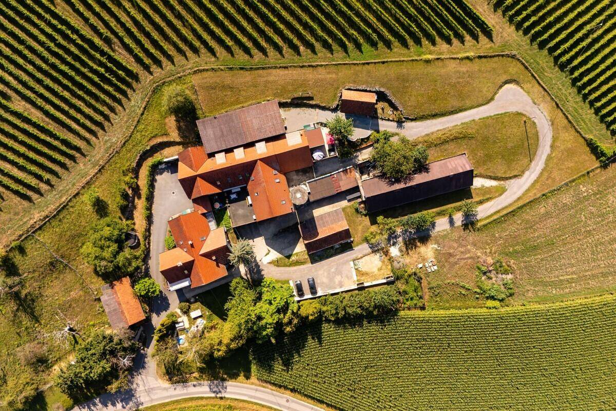 Senkrechte Luftaufnahme des Anwesens, umgeben von akkurat angelegten Weinbergen und ländlicher Umgebung.