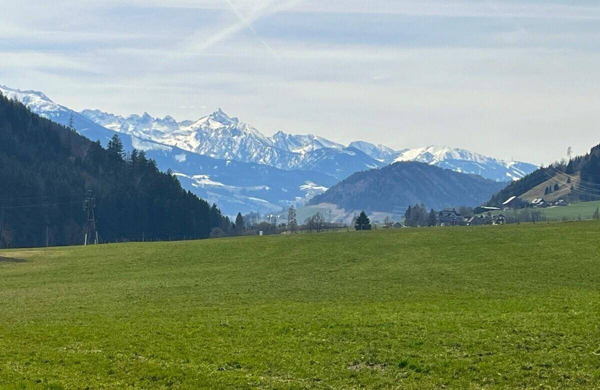 Weitläufige grüne Felder mit einem beeindruckenden Fernblick auf schneebedeckte Berge.