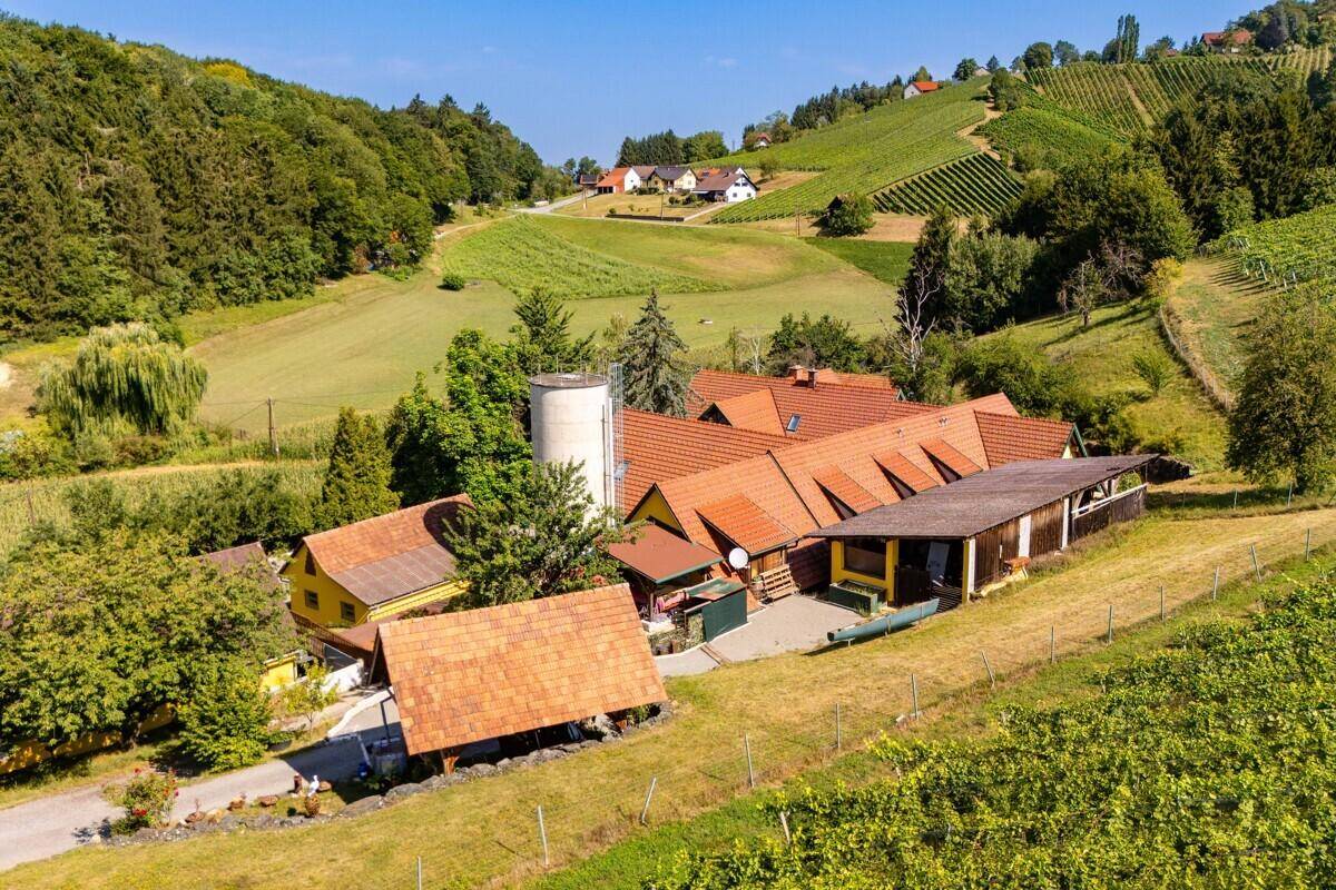 Weitläufiges Anwesen eingebettet in eine malerische Landschaft mit sanften Hügeln und ausgedehnten Weinbergen.