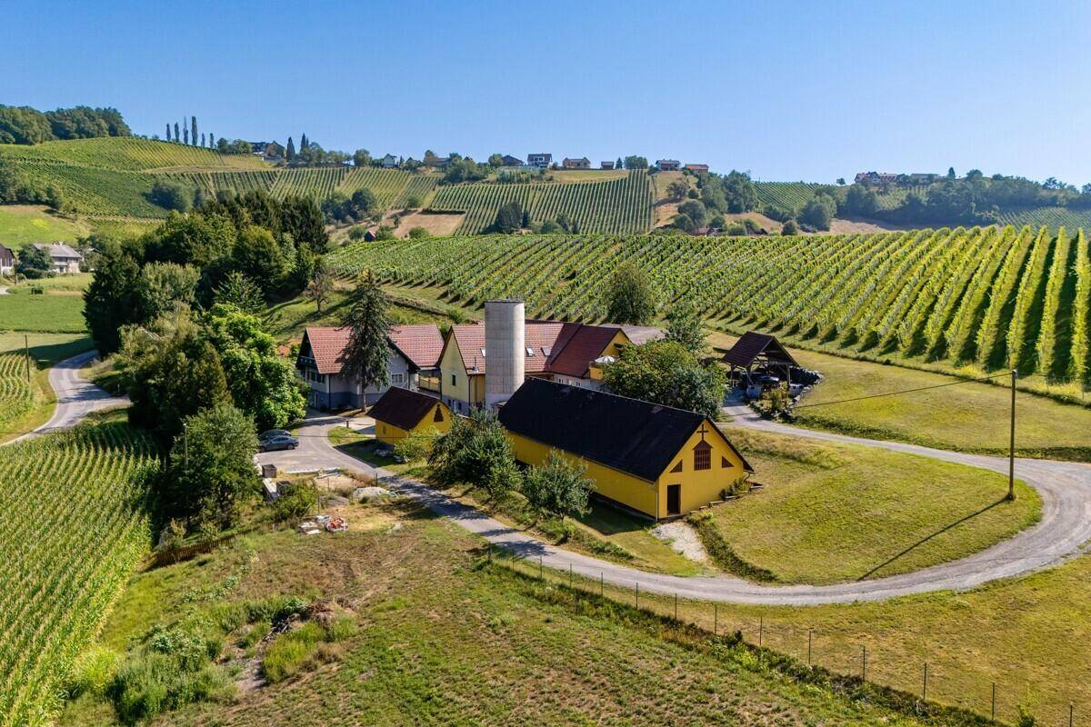 Anwesen mit mehreren Gebäuden und einem Silo, eingebettet in eine malerische Weinlandschaft, sonnig und weitläufig.