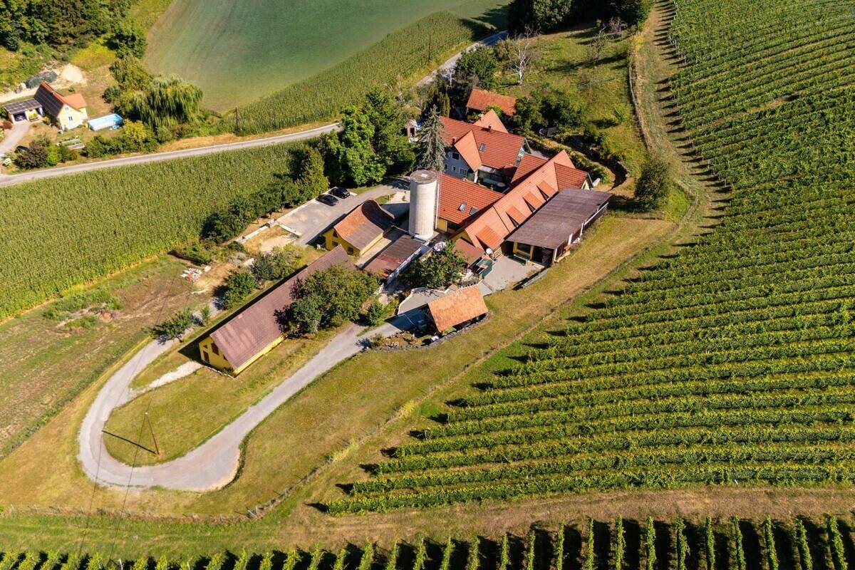 Vogelperspektive auf ein ländliches Anwesen mit Gebäudekomplex und angrenzenden Weinbergen, malerische Umgebung.