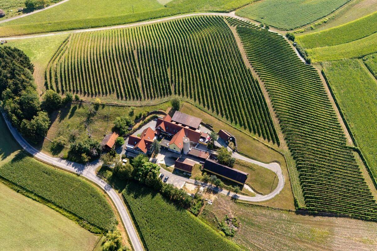Weitläufiges Anwesen mit Gebäudekomplex, umgeben von grünen Weinbergen und ländlicher Umgebung, friedlich.