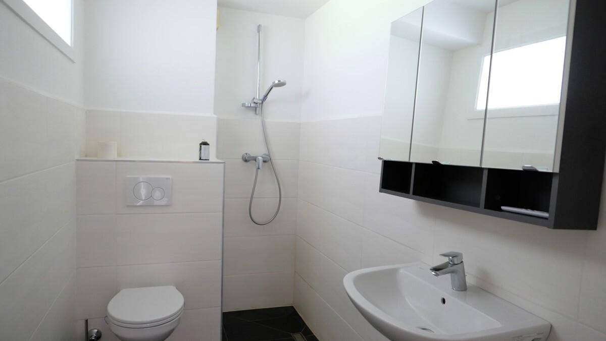 Funktionales Badezimmer mit Dusche, WC, Waschbecken und Spiegelschrank.