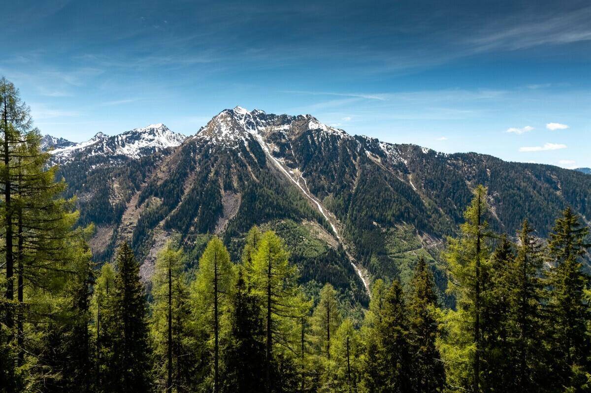 Atemberaubender Blick auf schneebedeckte Berggipfel und dichte Wälder unter blauem Himmel.