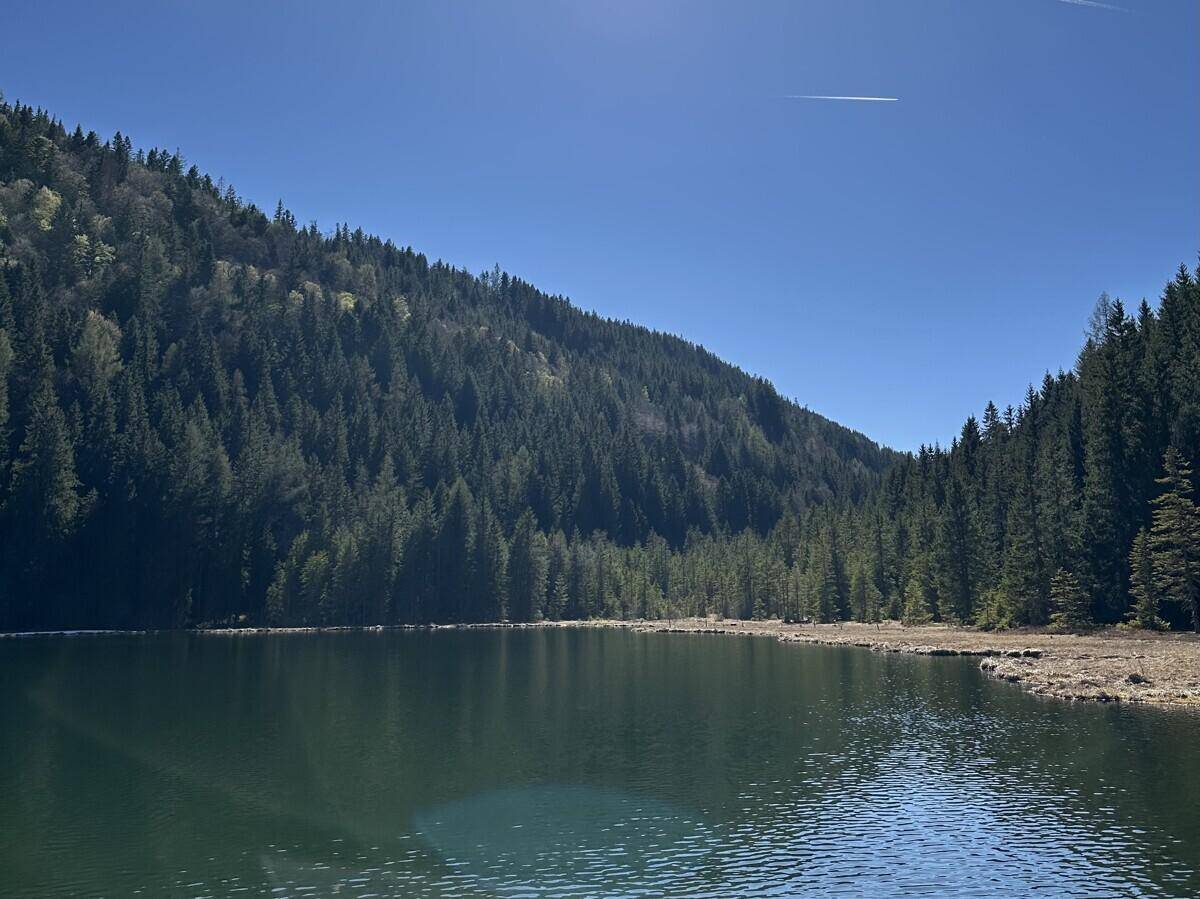 Ruhiger See, umgeben von dichten Nadelwäldern an steilen Berghängen unter blauem Himmel.