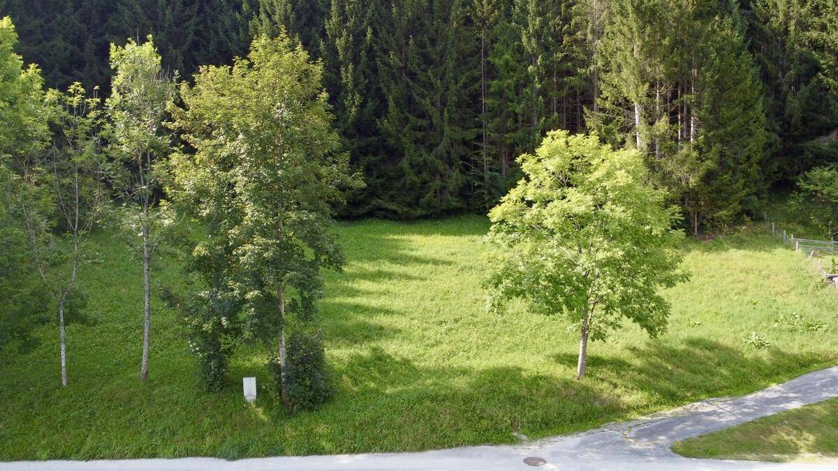 Luftaufnahme eines grünen Grundstücks mit Bäumen und angrenzender Straße.