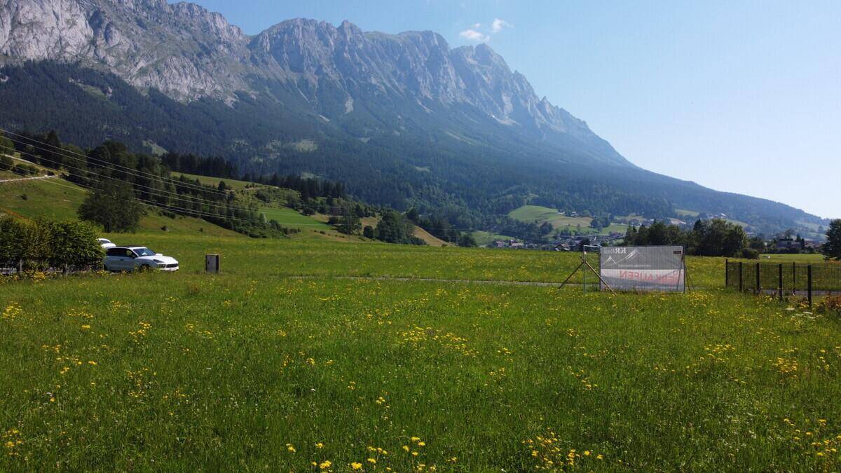 Grüne Wiese mit gelben Blüten und einem Verkaufsschild vor beeindruckender Bergkulisse.