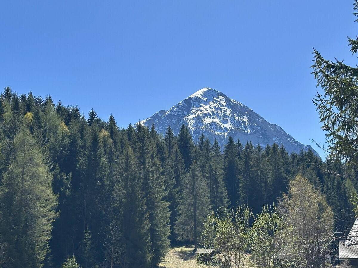 Majestätischer schneebedeckter Berggipfel, der sich über einem dichten Nadelwald erhebt.